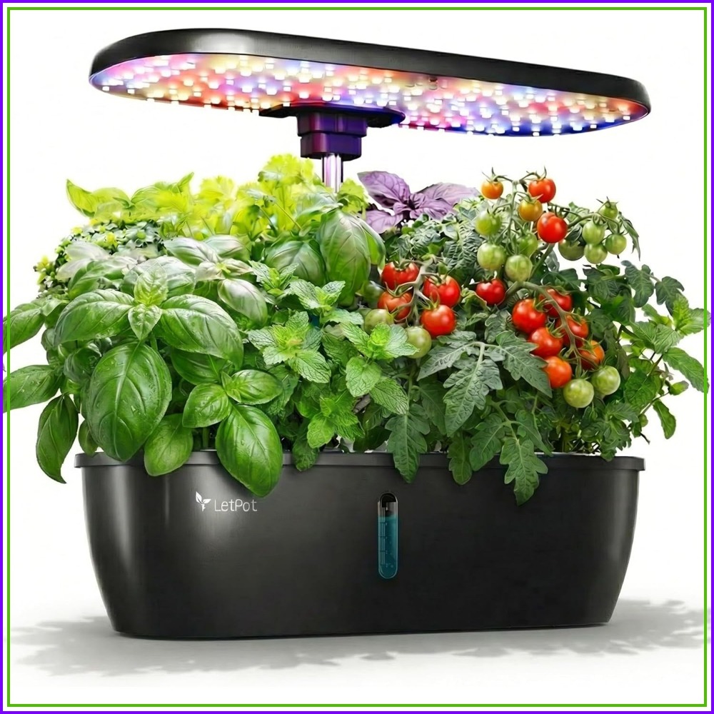12-Pod Indoor Herb Garden Kit  - Indoor Herb Garden Grow Light Smart Kit 评论和价格