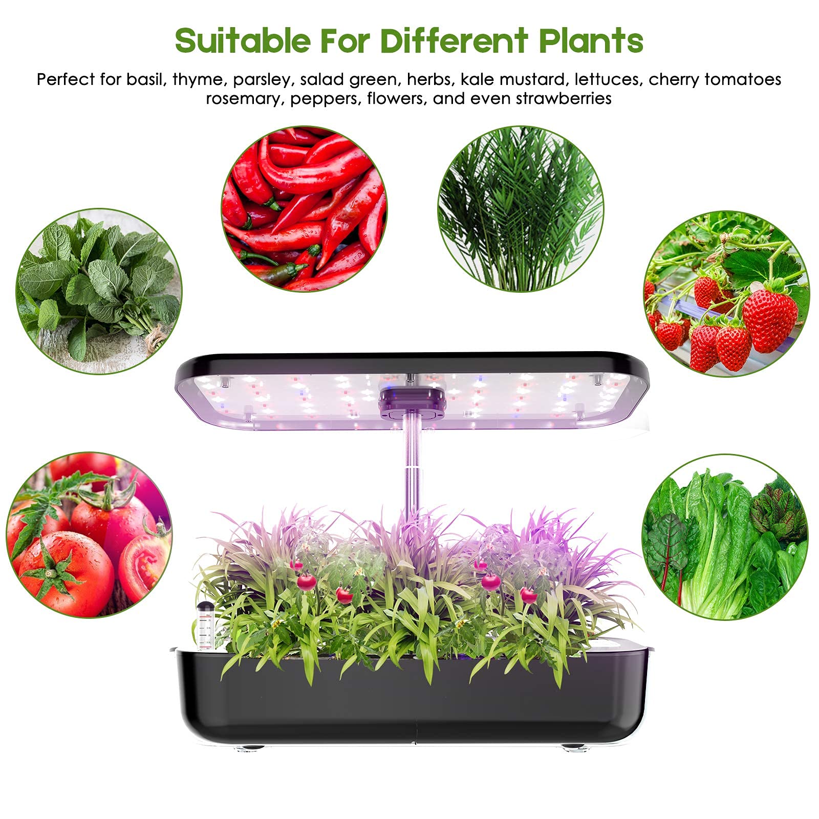 Hydroponics Growing System 12  - Indoor Herb Garden Grow Light Smart Kit 评论和价格