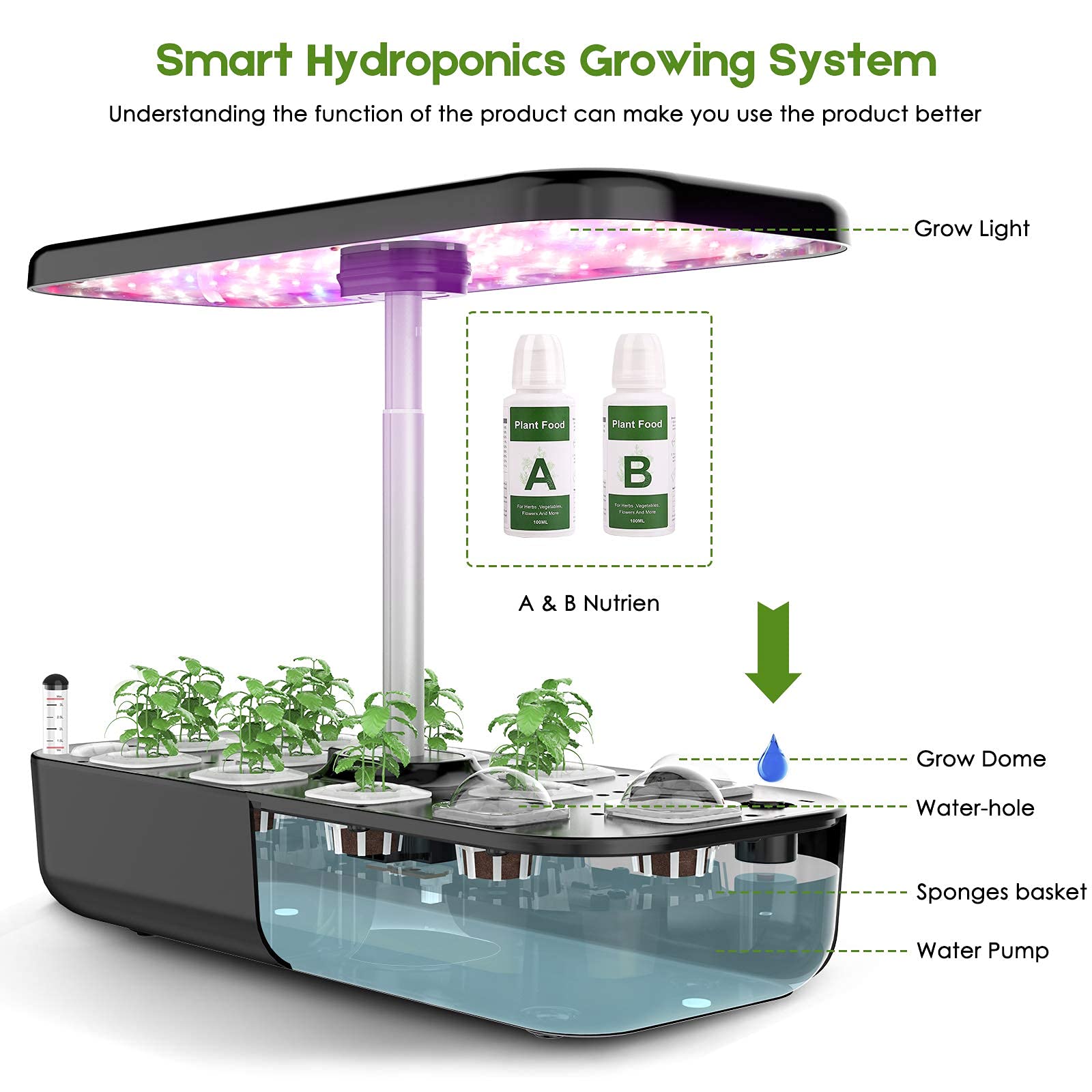 Hydroponics Growing System 12  - Indoor Herb Garden Grow Light Smart Kit 评论和价格
